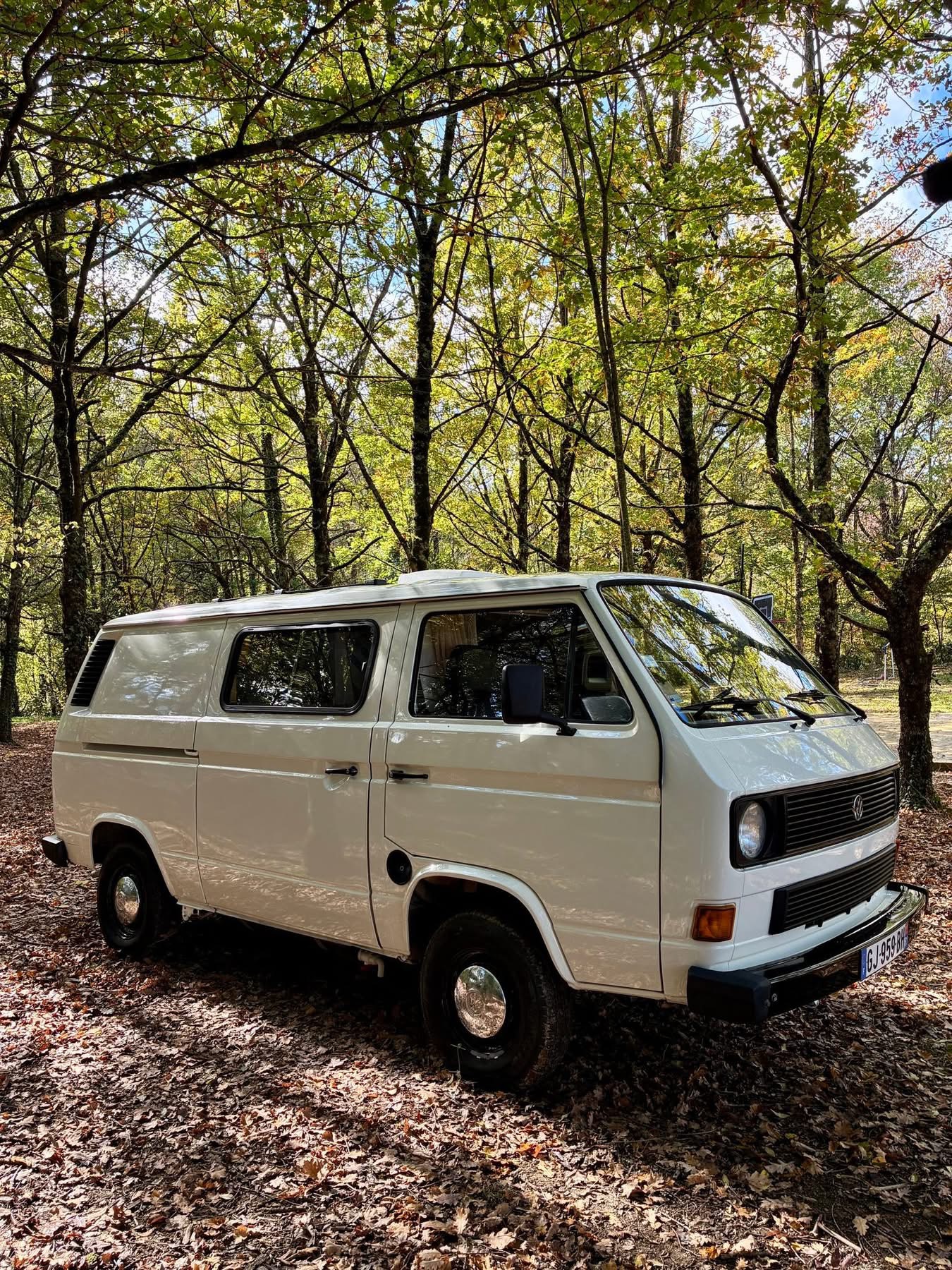 Le Volkswagen T3 Alaska